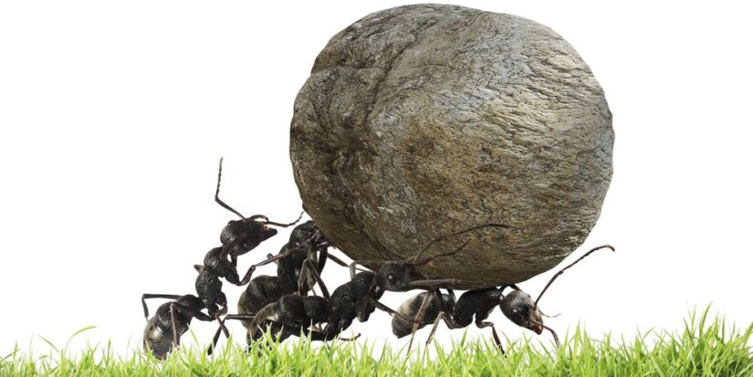 How We Define &ldquo;Hard Work&rdquo;