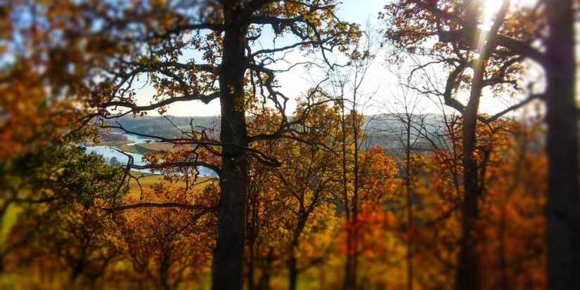 "Fall is Proof that Change is Beautiful"