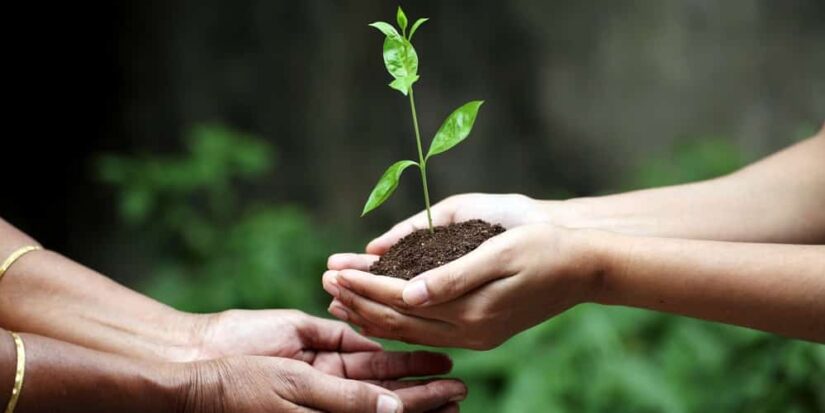 Giving for the Sake of Giving